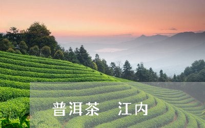 普洱茶 江内/2023042826194